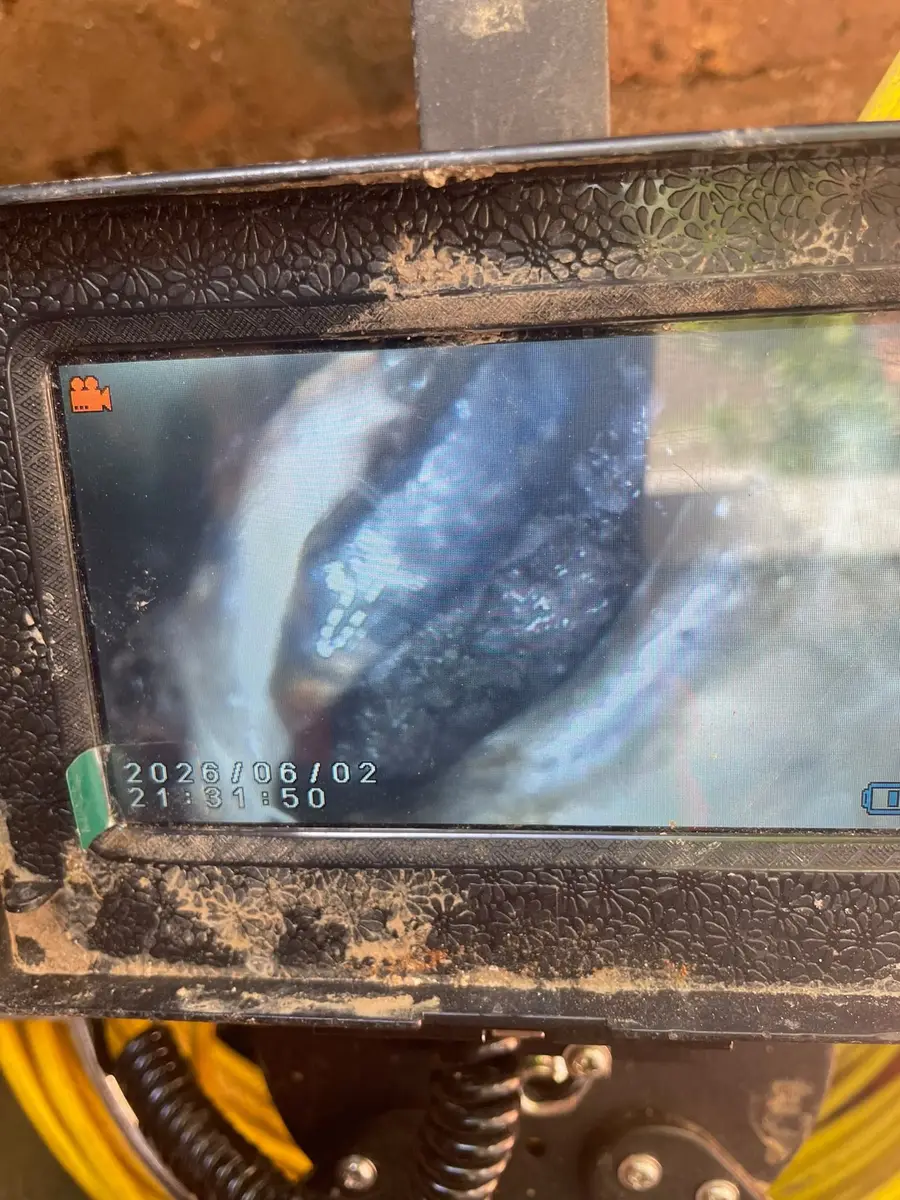 Close-up of survey footage on the camera monitor
